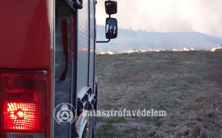 Idén már több ezerszer riasztották a tűzoltókat szabadtéri tüzek miatt